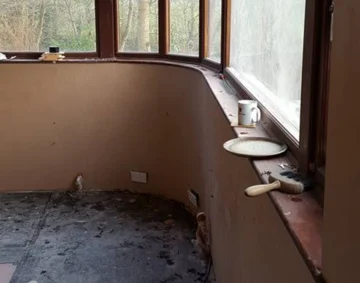 Freshly plastered interior wall with curved window ledge and large wooden-framed windows overlooking trees, showing smooth plaster finish and tidy workmanship during renovation.